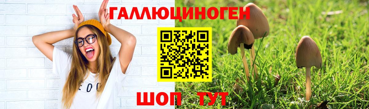 ГАШИШ  Codein  Бердск  Вход с VPN  Вейп ТГК  ГАШИШ  Меф  